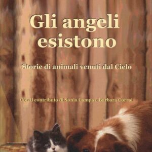 Gli angeli esistono